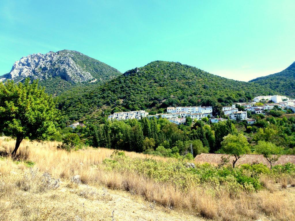 Casa Rural El Aljibe Бенамаома Екстер'єр фото
